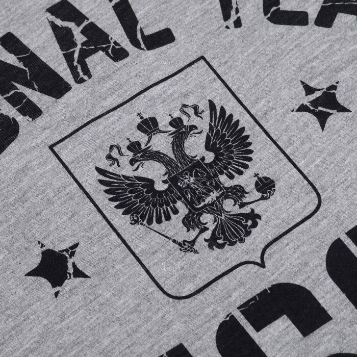 Футболка детская серая "NATIONAL TEAM RUSSIA"