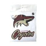 Наклейки с символикой клубов NHL