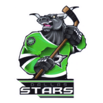 Наклейки с символикой клубов NHL (Mascot)