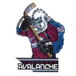 Наклейки с символикой клубов NHL (Mascot)