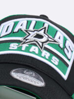 Бейсболка NHL Dallas Stars