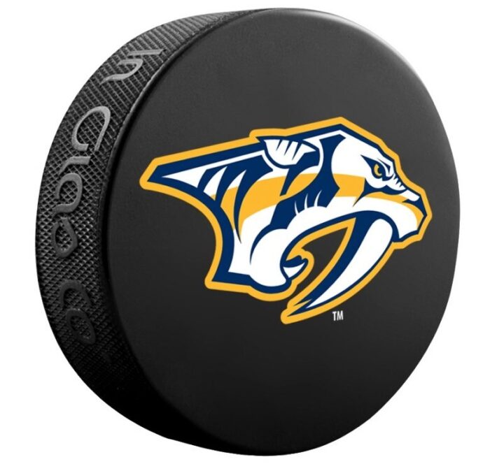 Шайбы сувенирные с клубами NHL