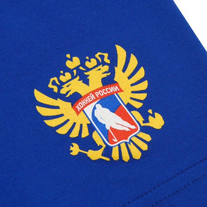 Футболка детская серая "ALL U NEED IS RUSSIA"