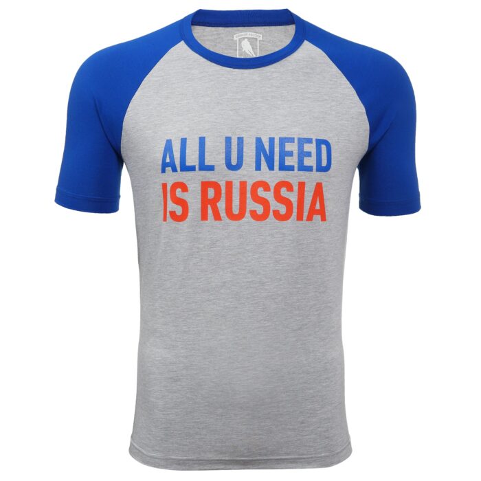 Футболка детская серая "ALL U NEED IS RUSSIA"