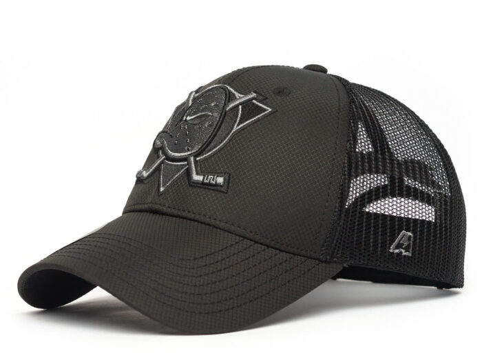 Бейсболка NHL Anaheim Ducks